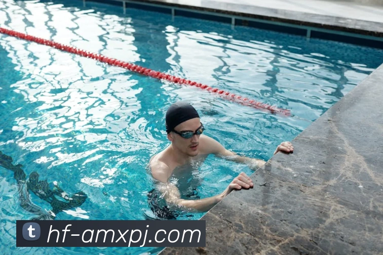 新葡京娱乐平台生态图